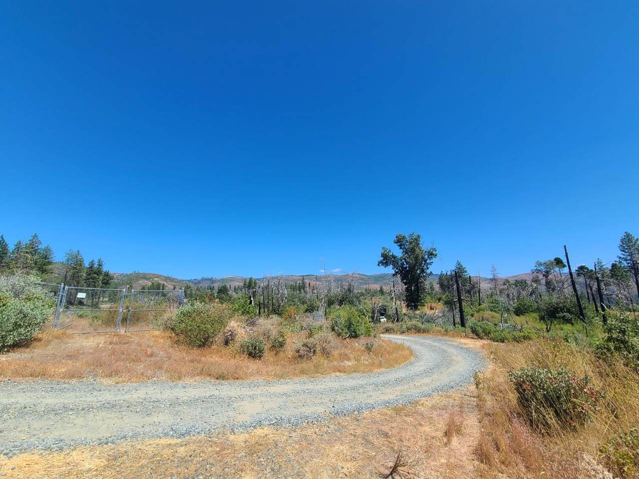 https://bt-photos.global.ssl.fastly.net/sacramento/1280_boomver_1_560946353-2.jpg