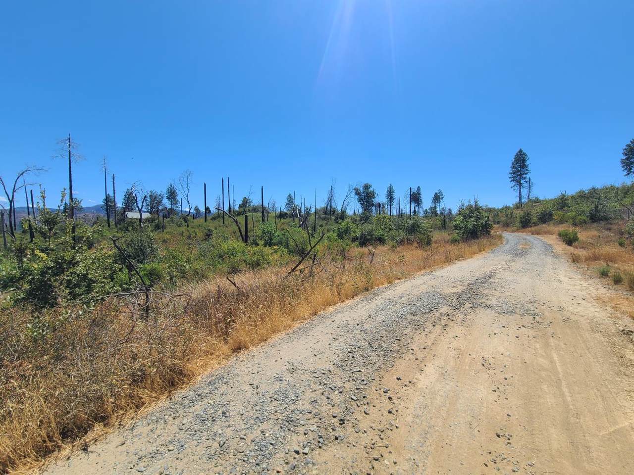0 Hog Ranch Road - Photo 1