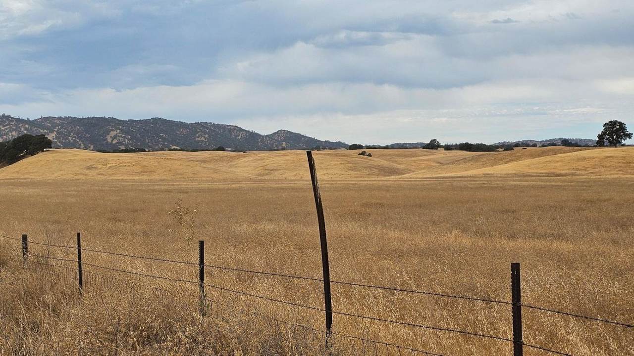 11 County Road 11 - Photo 1