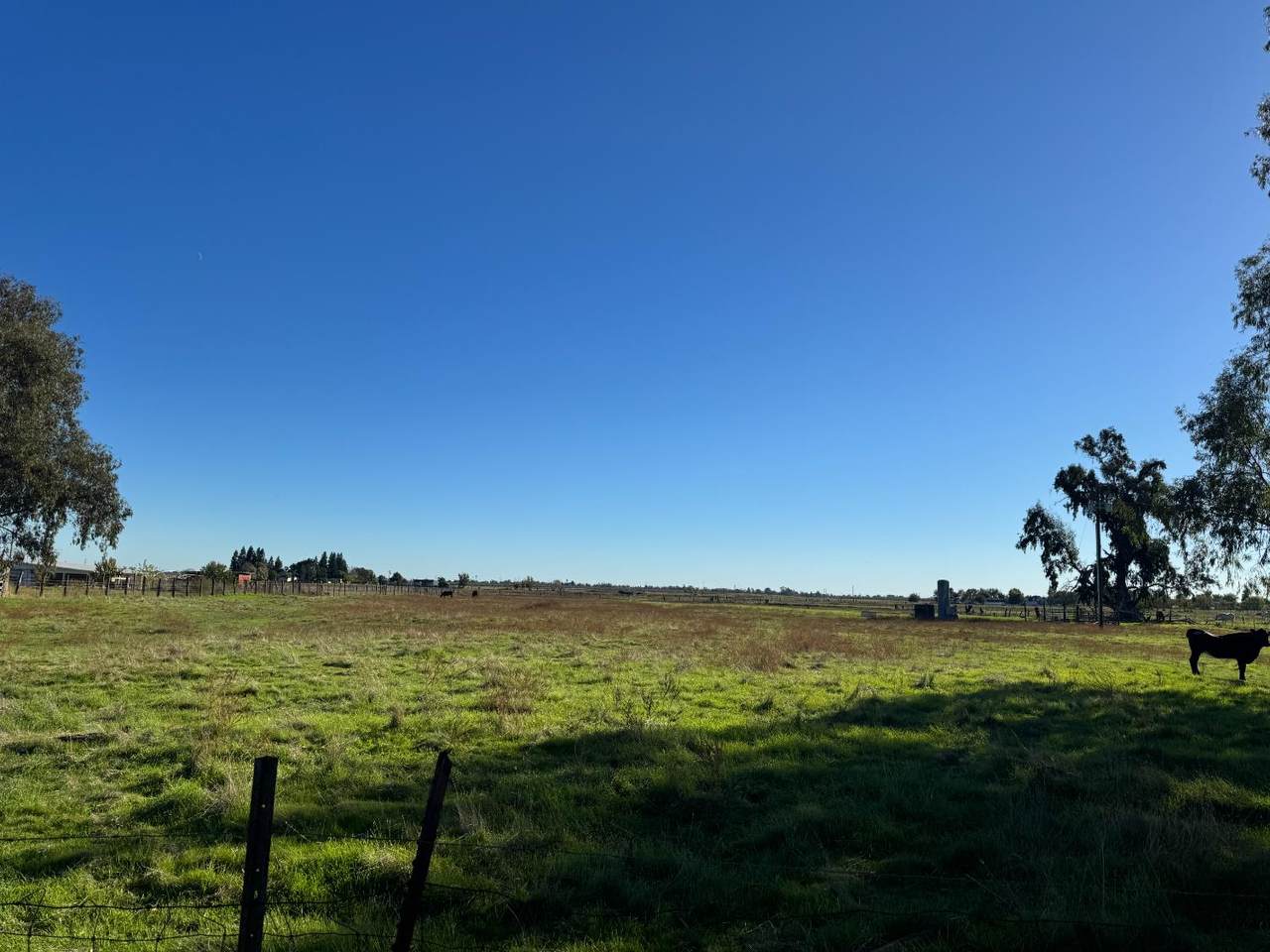 https://bt-photos.global.ssl.fastly.net/sacramento/1280_boomver_1_560946873-2.jpg