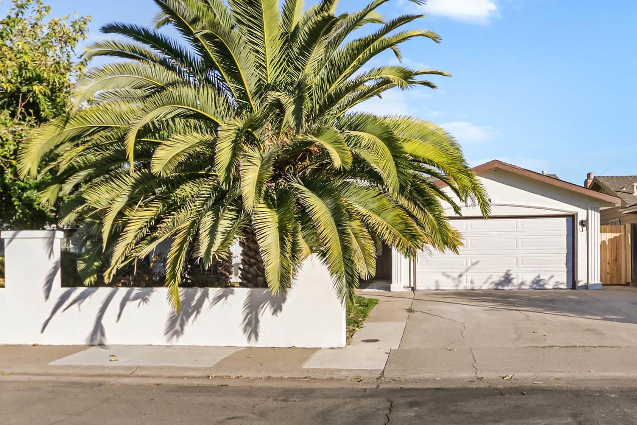 8169 Valley Green Drive - Photo 1