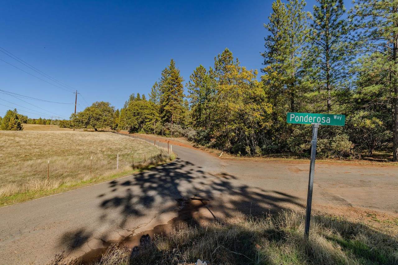 https://bt-photos.global.ssl.fastly.net/sacramento/1280_boomver_1_560947653-2.jpg