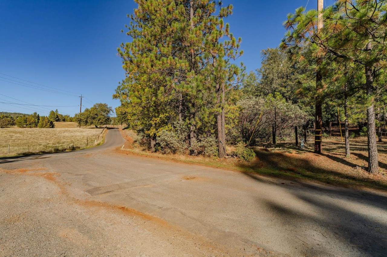 https://bt-photos.global.ssl.fastly.net/sacramento/1280_boomver_1_560947653-2.jpg