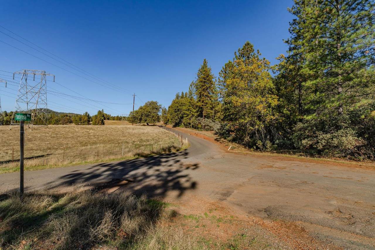https://bt-photos.global.ssl.fastly.net/sacramento/1280_boomver_1_560947669-2.jpg