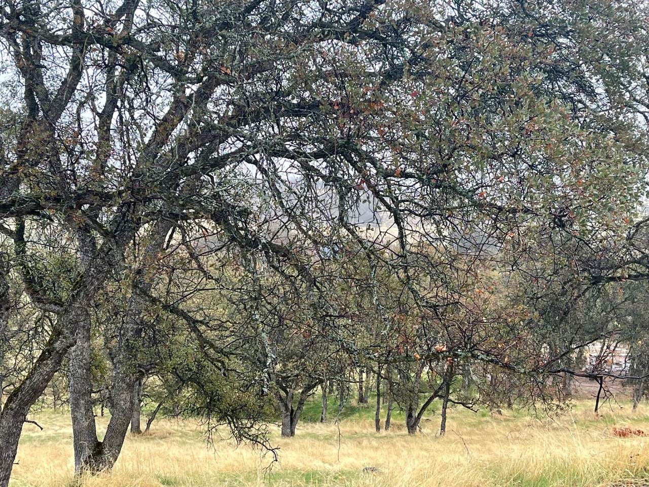 9520 Mercado - Photo 1