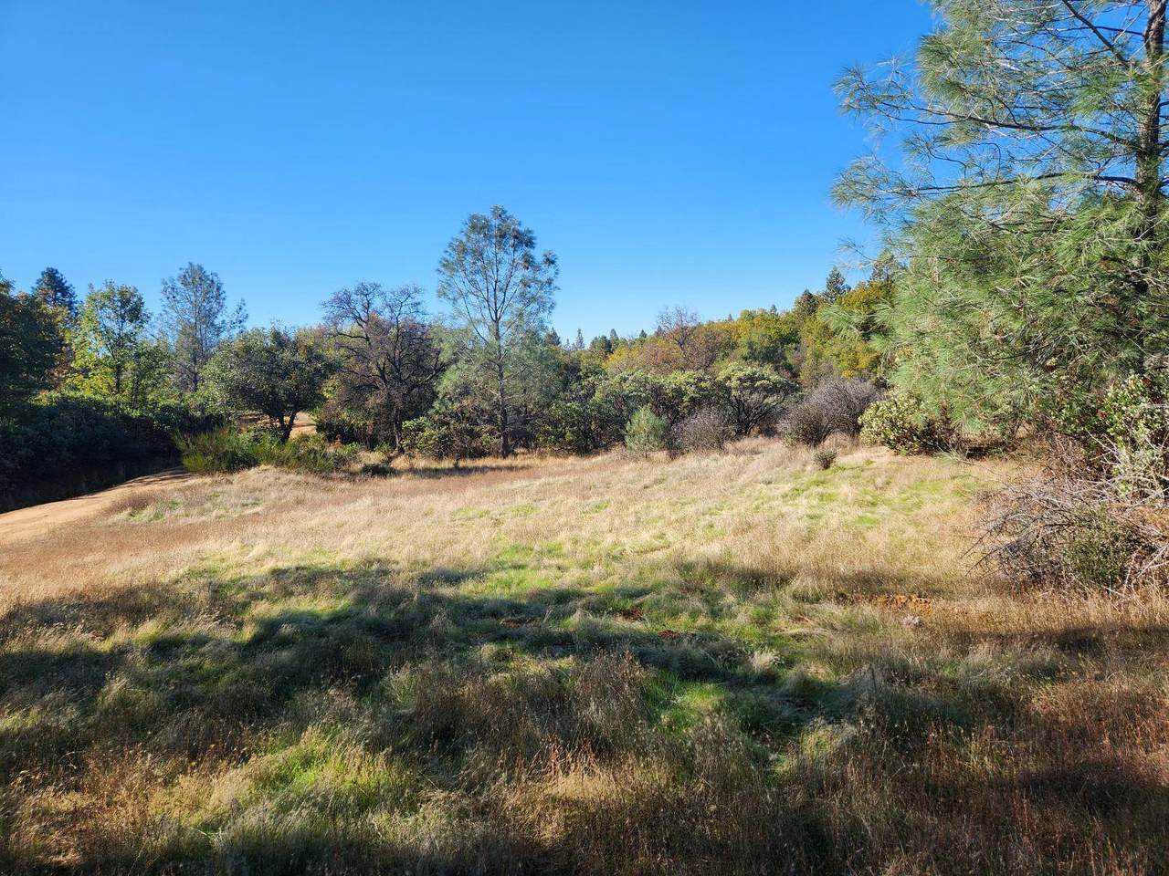 14444 Labadie Way - Photo 1
