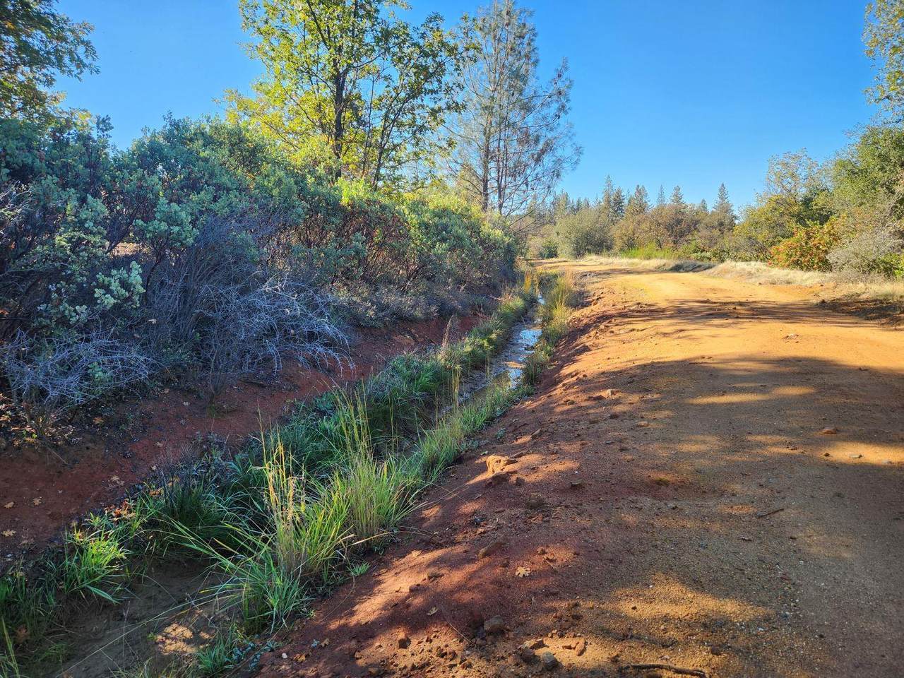 https://bt-photos.global.ssl.fastly.net/sacramento/1280_boomver_1_560948128-2.jpg