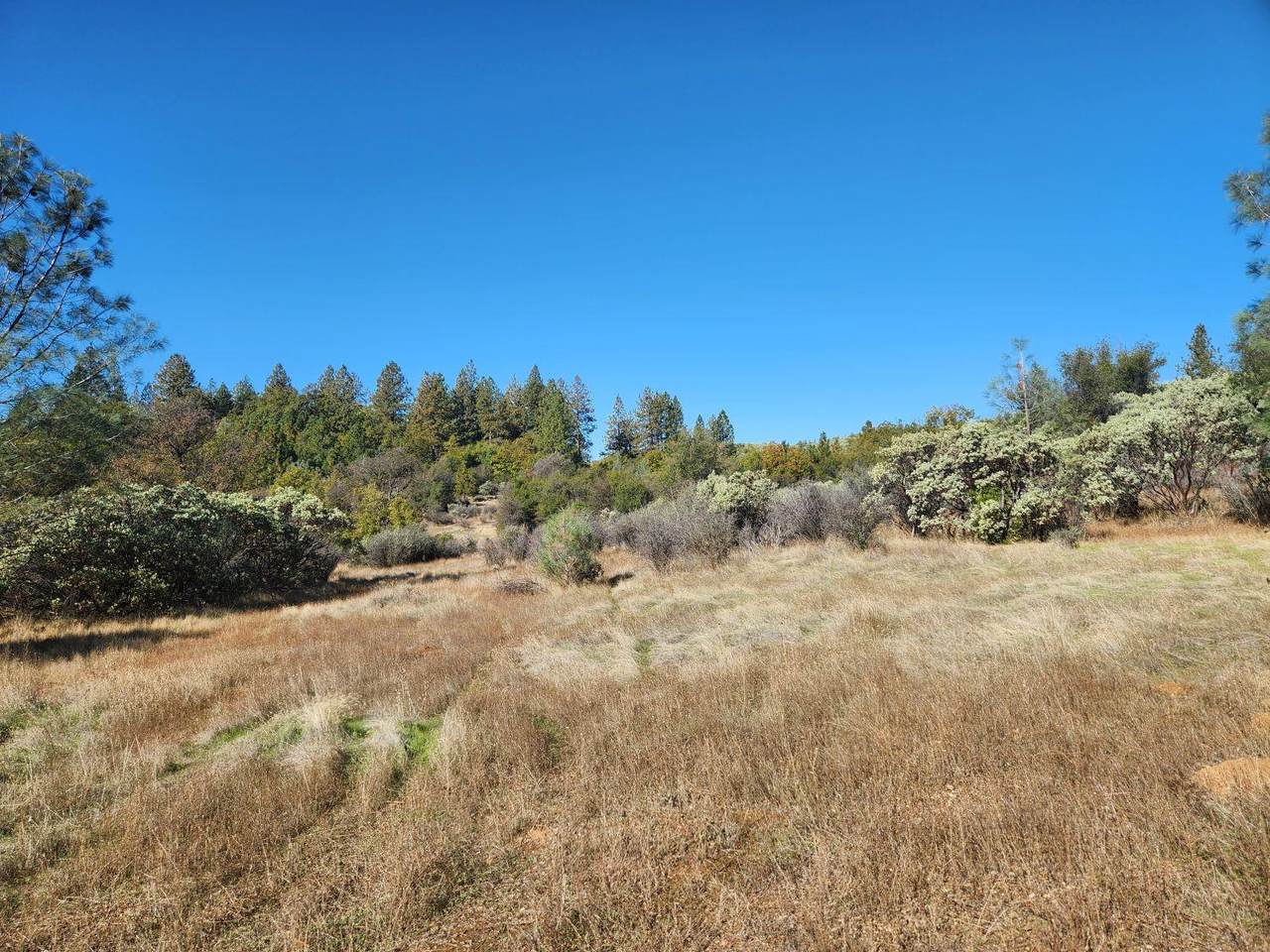 https://bt-photos.global.ssl.fastly.net/sacramento/1280_boomver_1_560948128-2.jpg