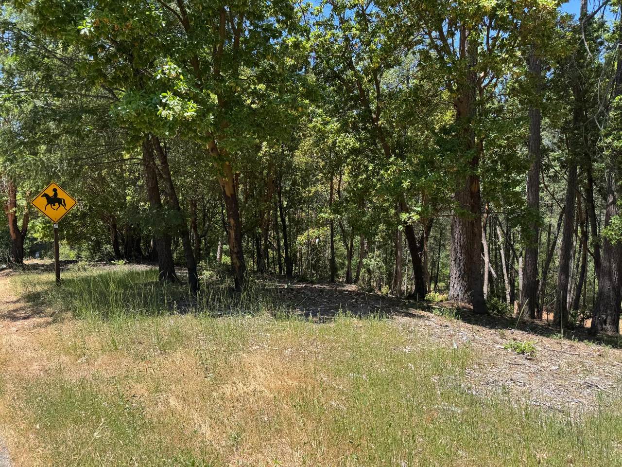 https://bt-photos.global.ssl.fastly.net/sacramento/1280_boomver_1_560948369-2.jpg