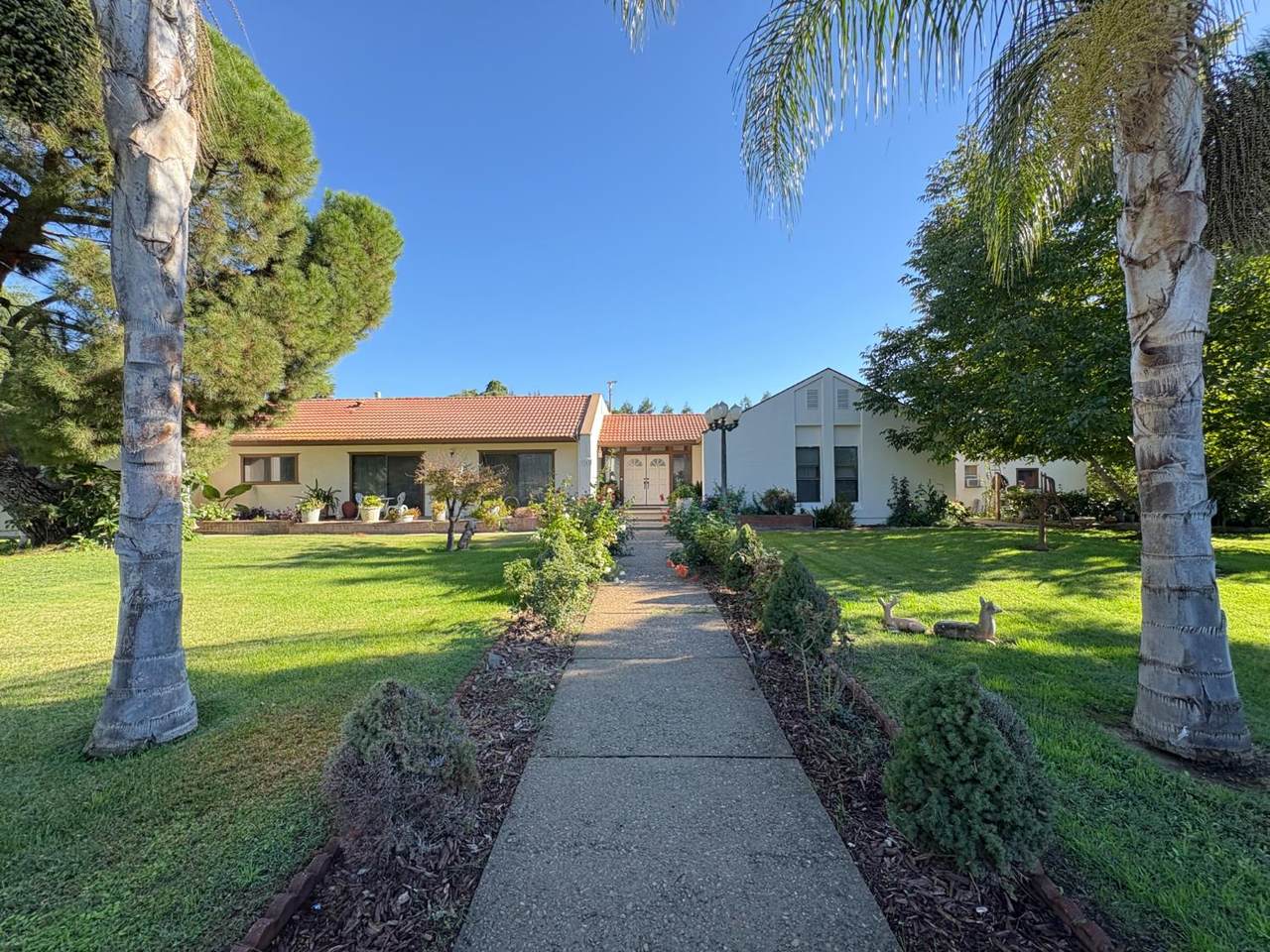 1262 Avalon Drive - Photo 1