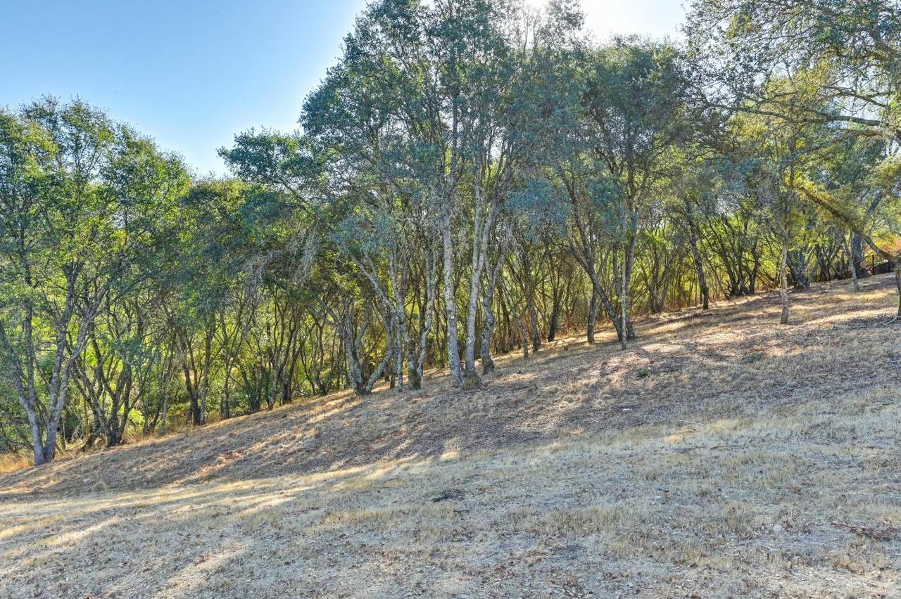 https://bt-photos.global.ssl.fastly.net/sacramento/1280_boomver_1_560948389-2.jpg