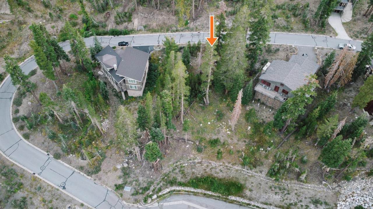 0 Palisades Drive - Photo 1