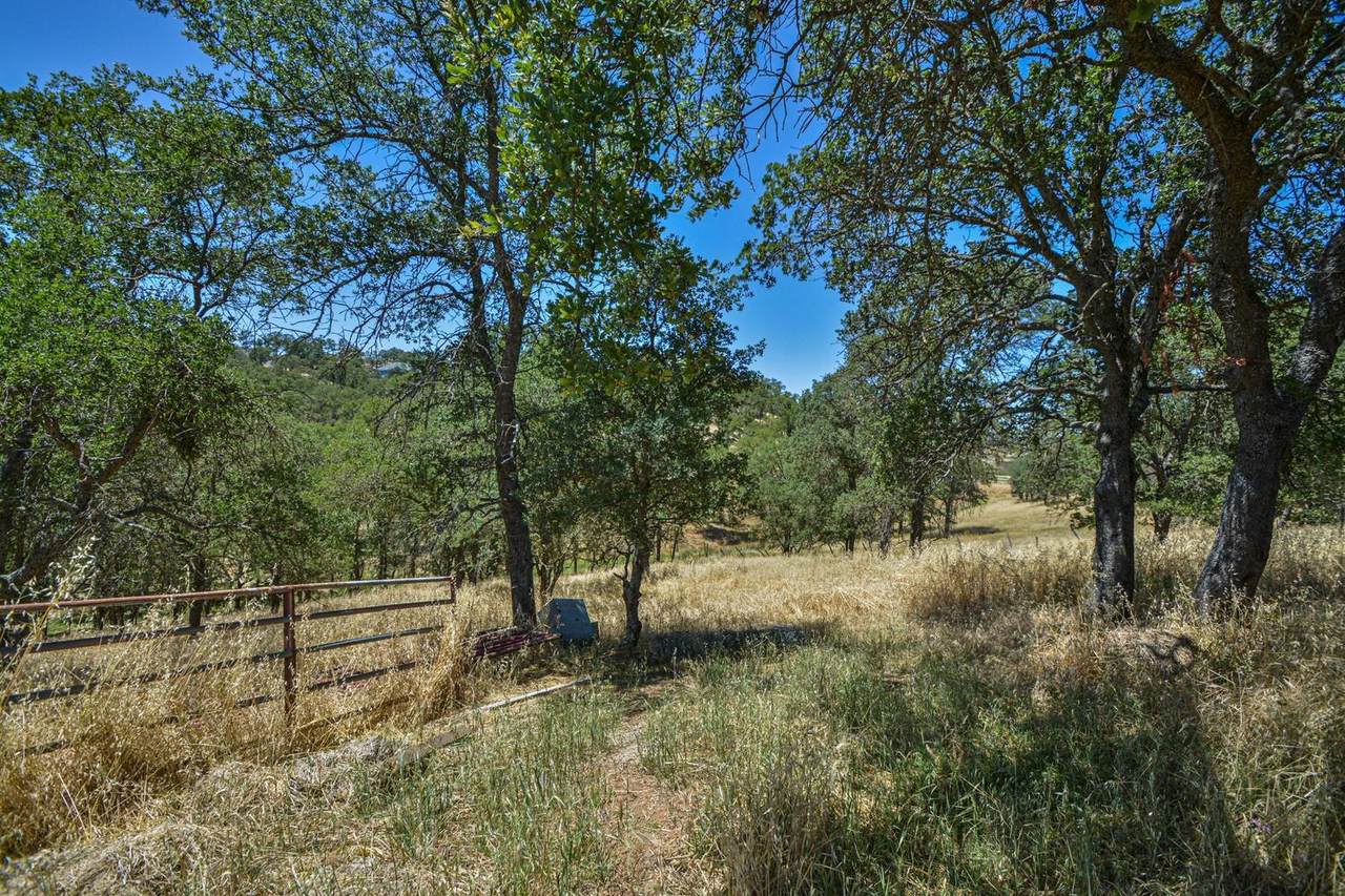 1405 Cheyenne Road - Photo 1