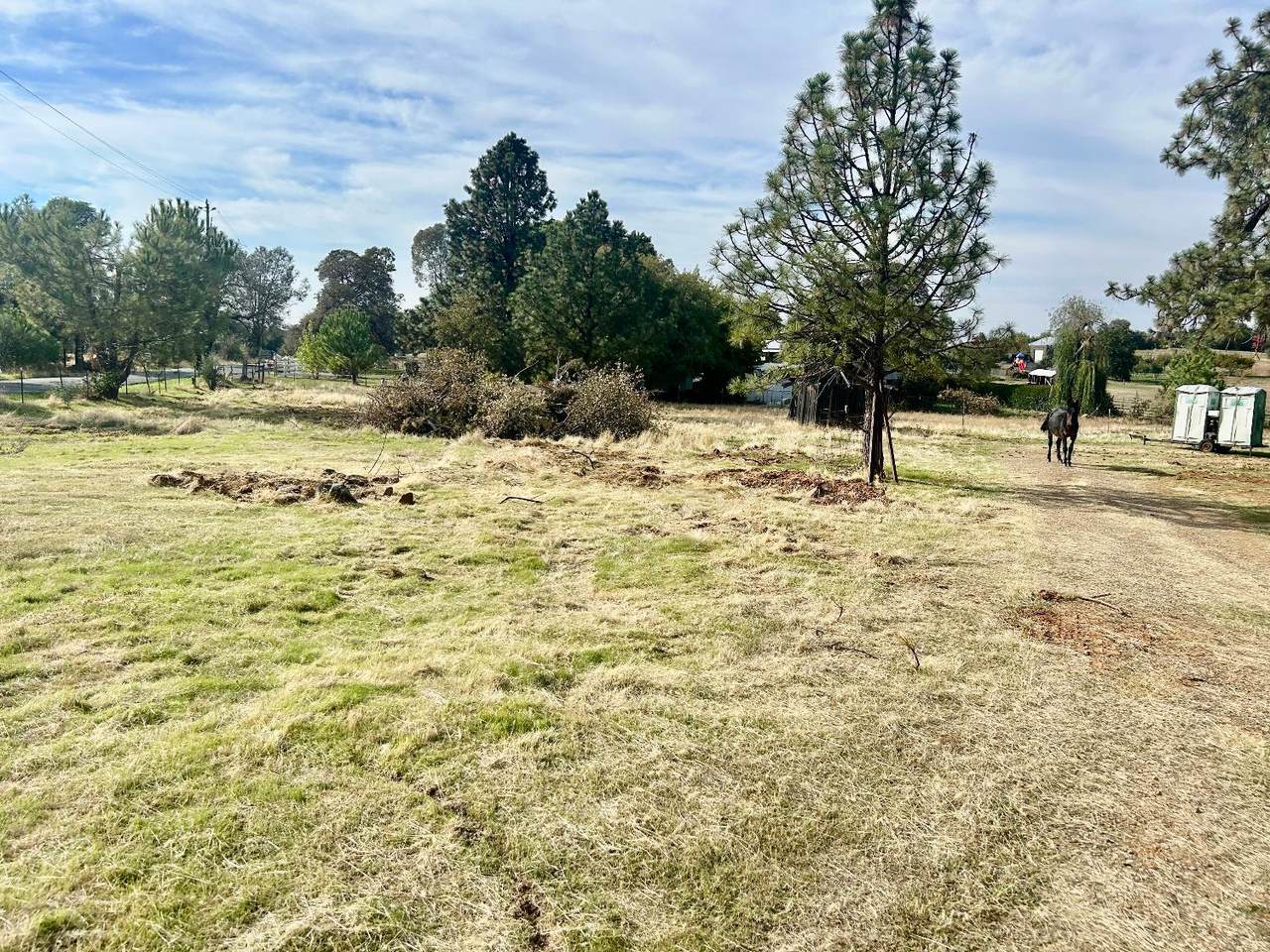 https://bt-photos.global.ssl.fastly.net/sacramento/1280_boomver_1_560949601-2.jpg