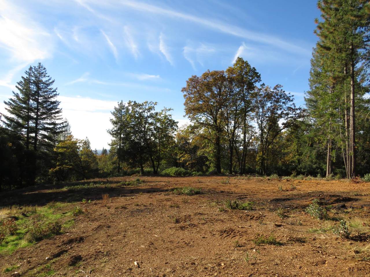 0 Steamers Ravine Road - Photo 1