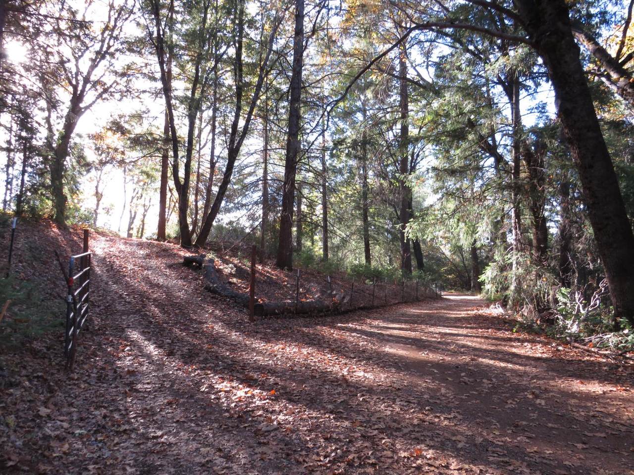 https://bt-photos.global.ssl.fastly.net/sacramento/1280_boomver_1_560949901-2.jpg