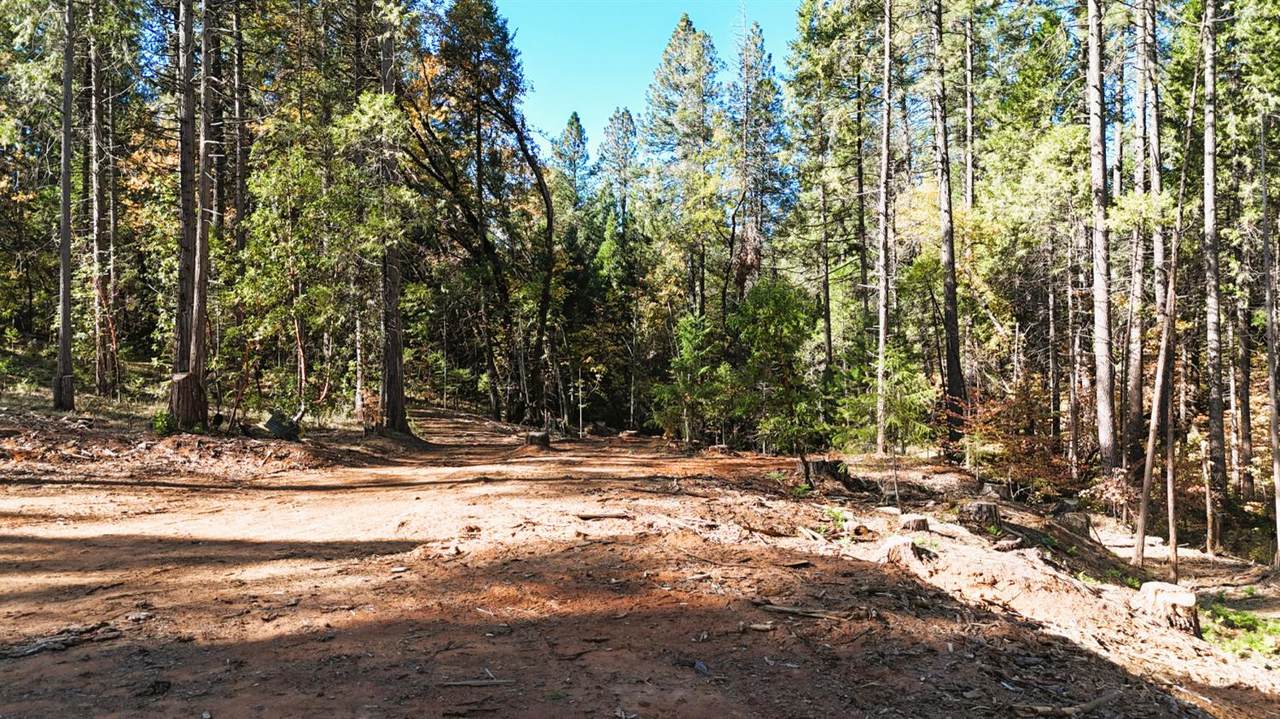 13492 Gracie Road - Photo 1