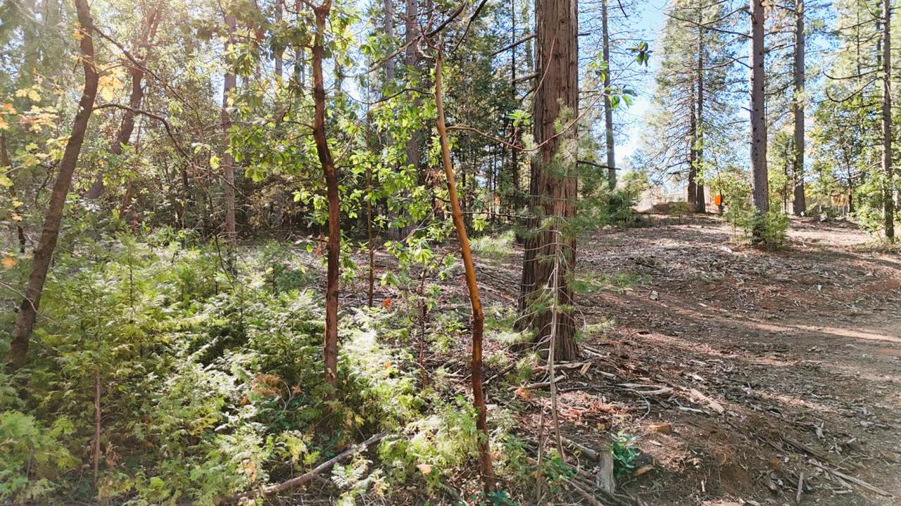 https://bt-photos.global.ssl.fastly.net/sacramento/1280_boomver_1_560949934-2.jpg