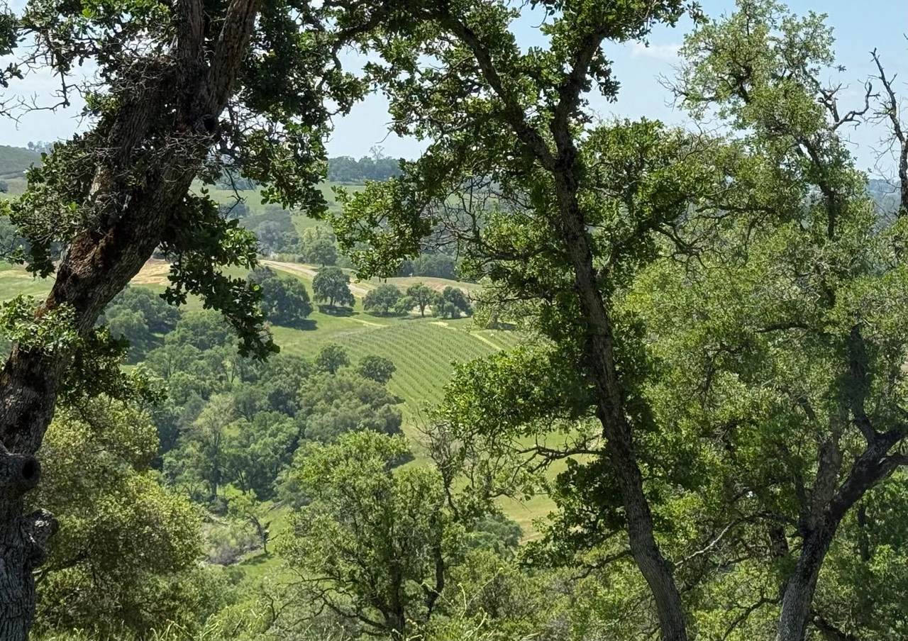 0 Vaira Ranch - Photo 1