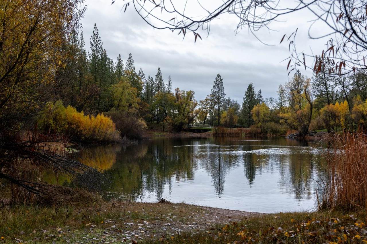 https://bt-photos.global.ssl.fastly.net/sacramento/1280_boomver_1_560950752-2.jpg