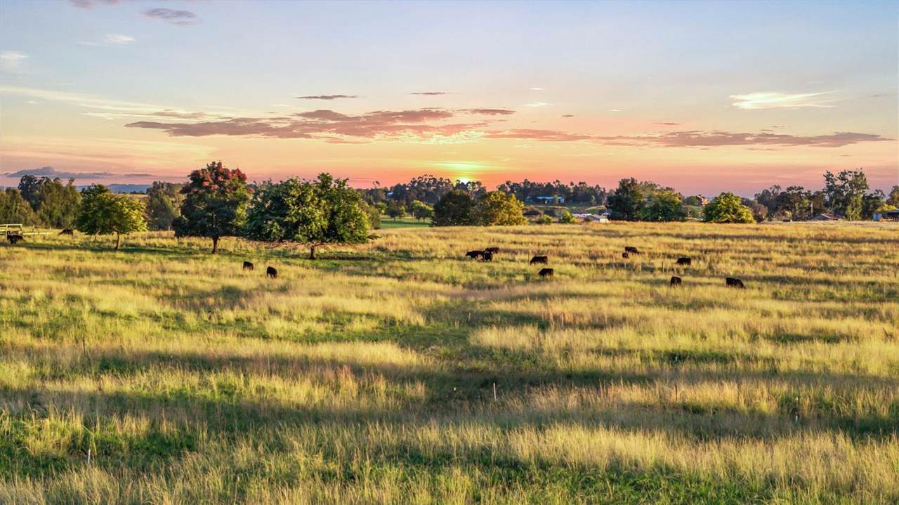 https://bt-photos.global.ssl.fastly.net/sacramento/1280_boomver_1_560951161-2.jpg
