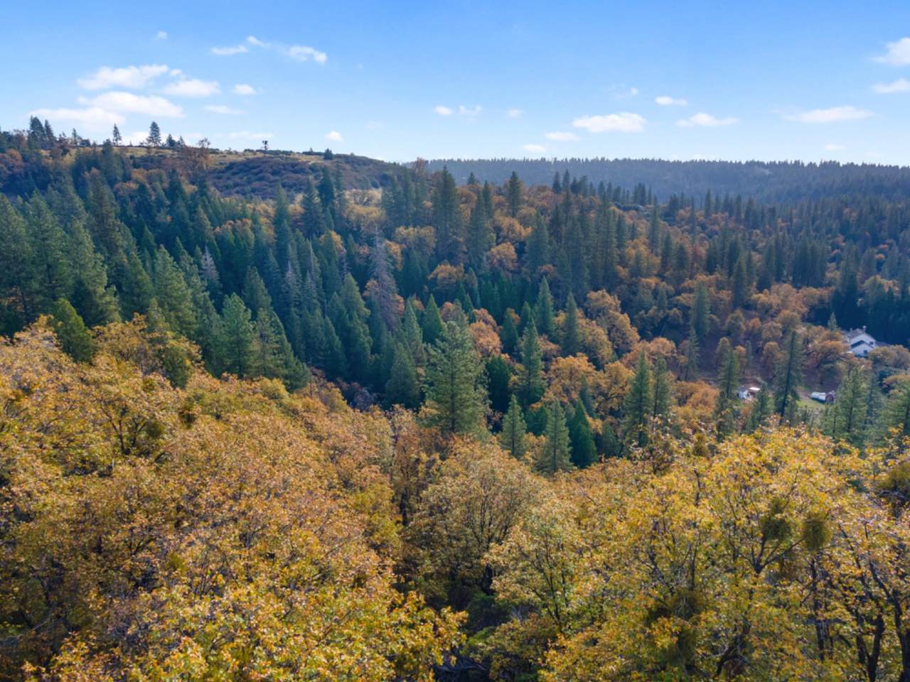 0 Starkes Grade Road - Photo 1