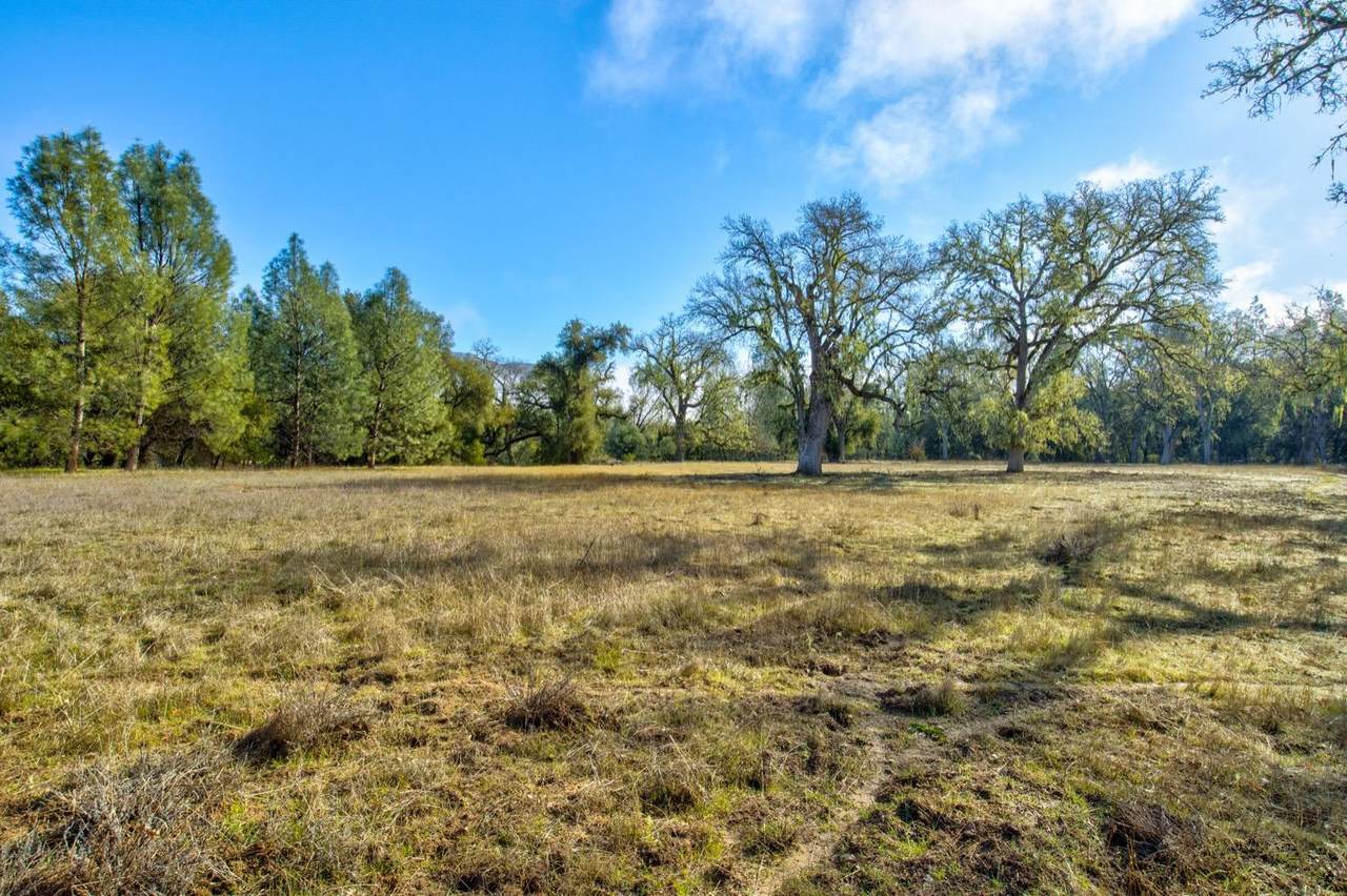 https://bt-photos.global.ssl.fastly.net/sacramento/1280_boomver_1_560953052-2.jpg
