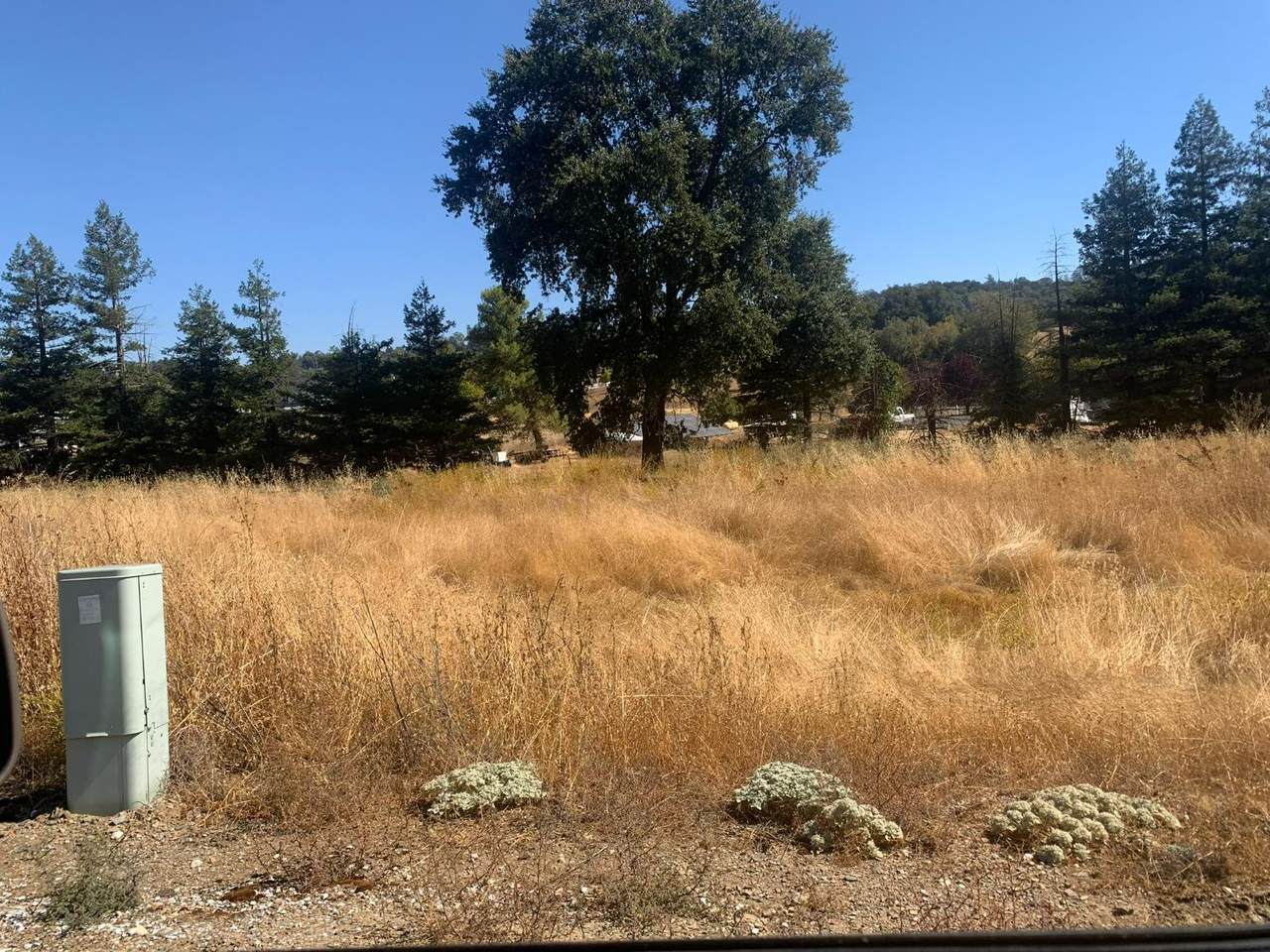 https://bt-photos.global.ssl.fastly.net/sacramento/1280_boomver_1_560953500-2.jpg