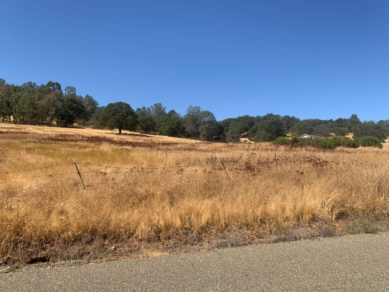 https://bt-photos.global.ssl.fastly.net/sacramento/1280_boomver_1_560953500-2.jpg