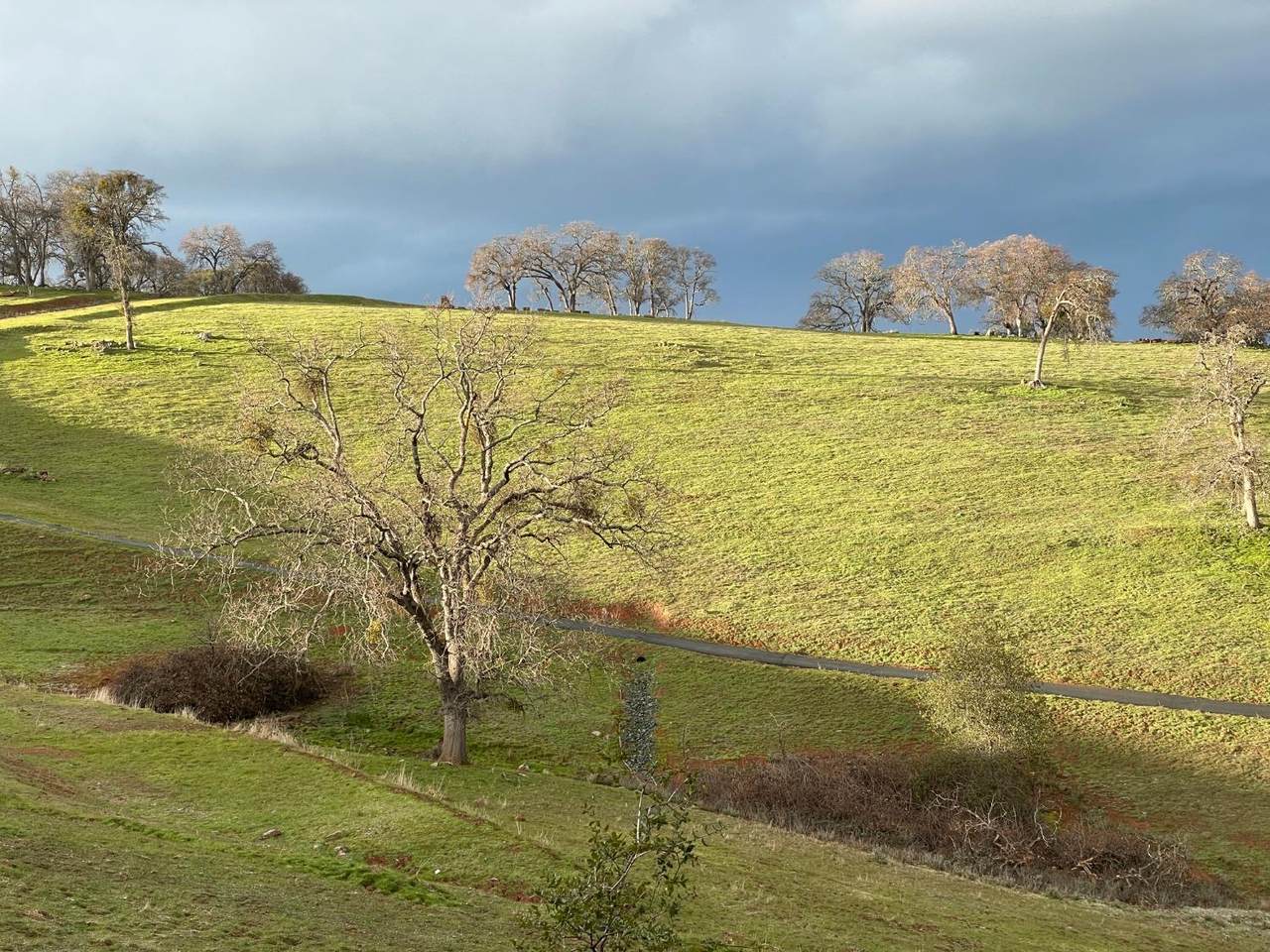 https://bt-photos.global.ssl.fastly.net/sacramento/1280_boomver_1_560953540-2.jpg