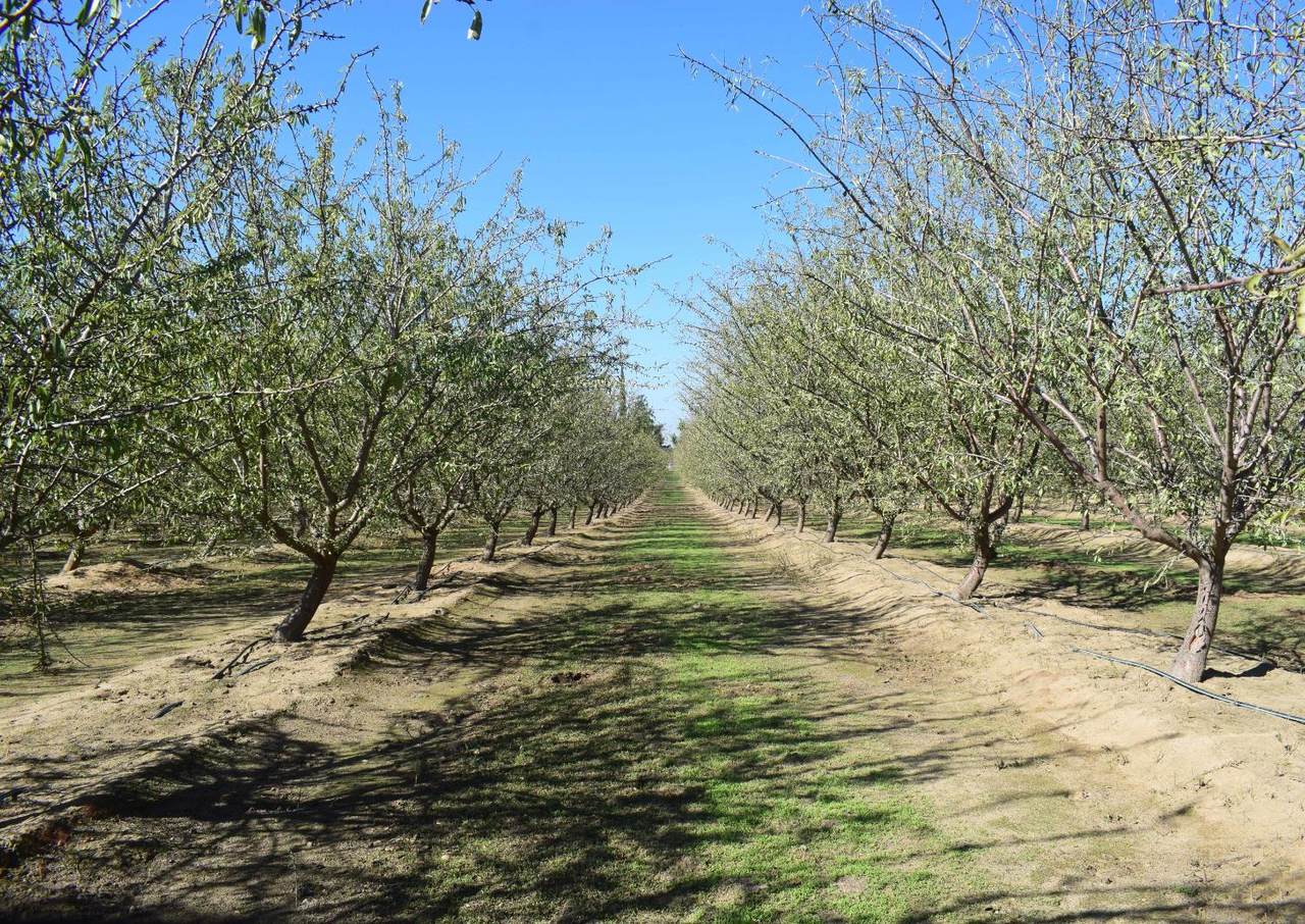 https://bt-photos.global.ssl.fastly.net/sacramento/1280_boomver_1_560953743-2.jpg