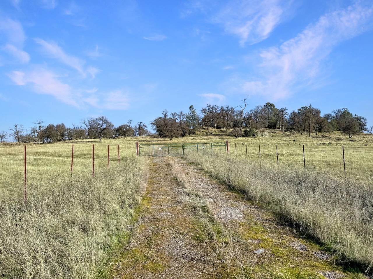 https://bt-photos.global.ssl.fastly.net/sacramento/1280_boomver_1_560953978-2.jpg