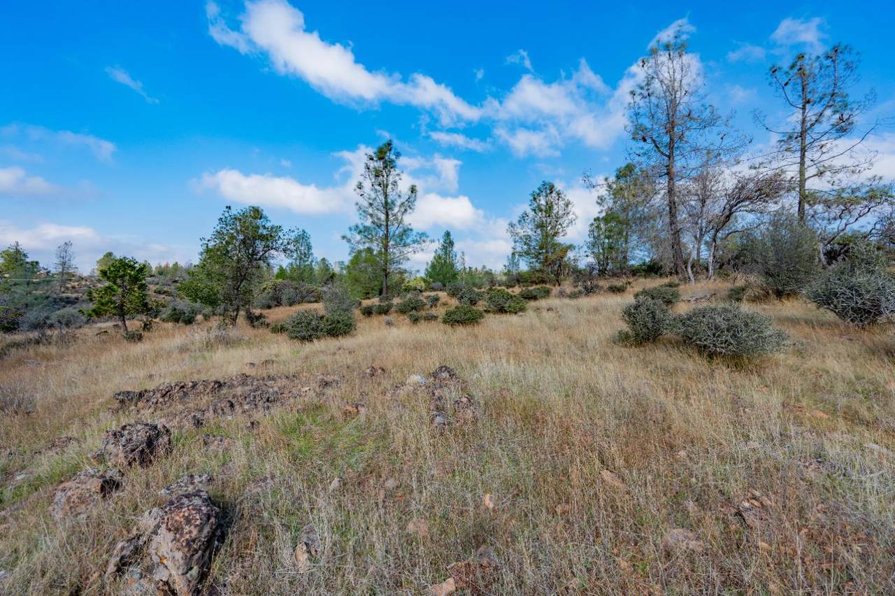 12137 Newtown Road - Photo 1