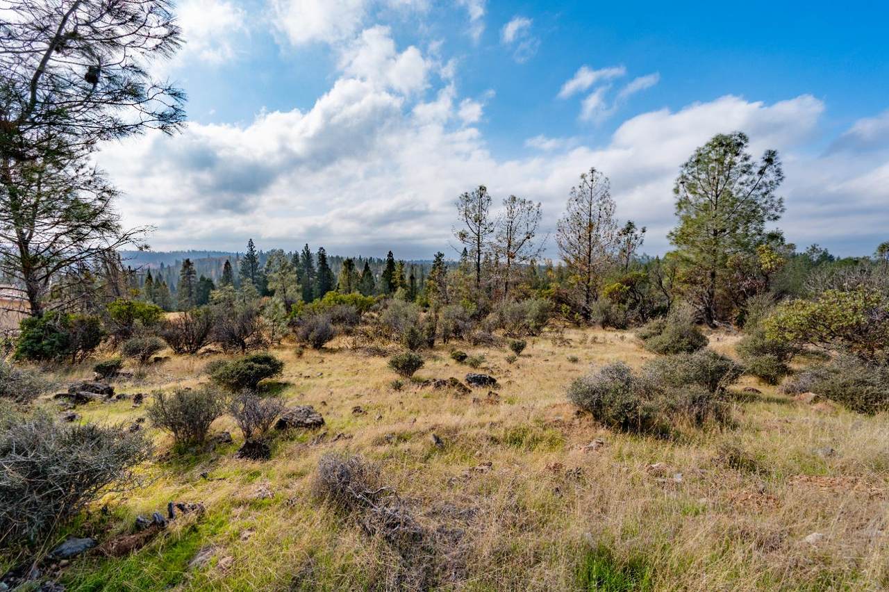 https://bt-photos.global.ssl.fastly.net/sacramento/1280_boomver_1_560954059-2.jpg