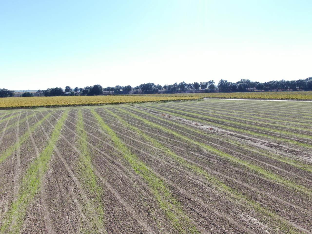https://bt-photos.global.ssl.fastly.net/sacramento/1280_boomver_1_560954099-2.jpg