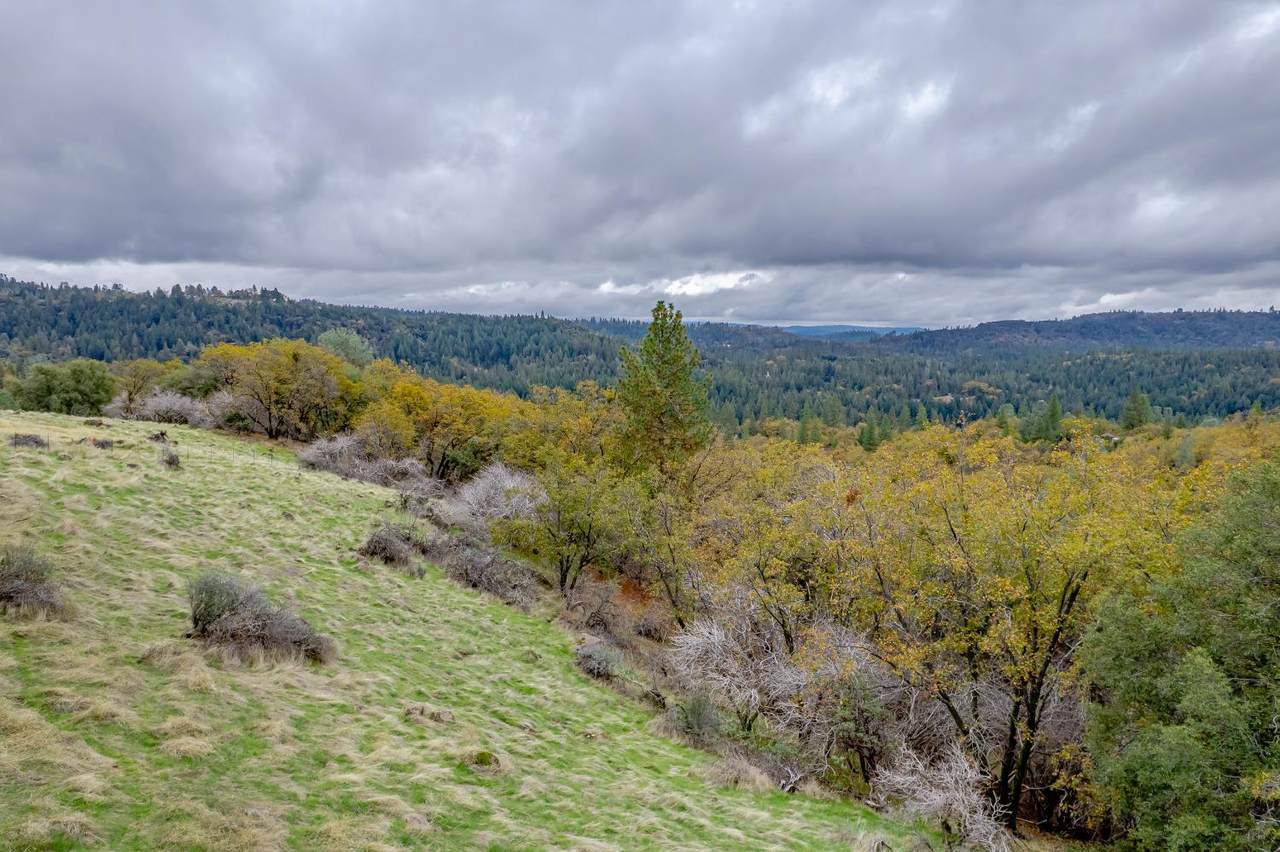 https://bt-photos.global.ssl.fastly.net/sacramento/1280_boomver_1_560954854-2.jpg