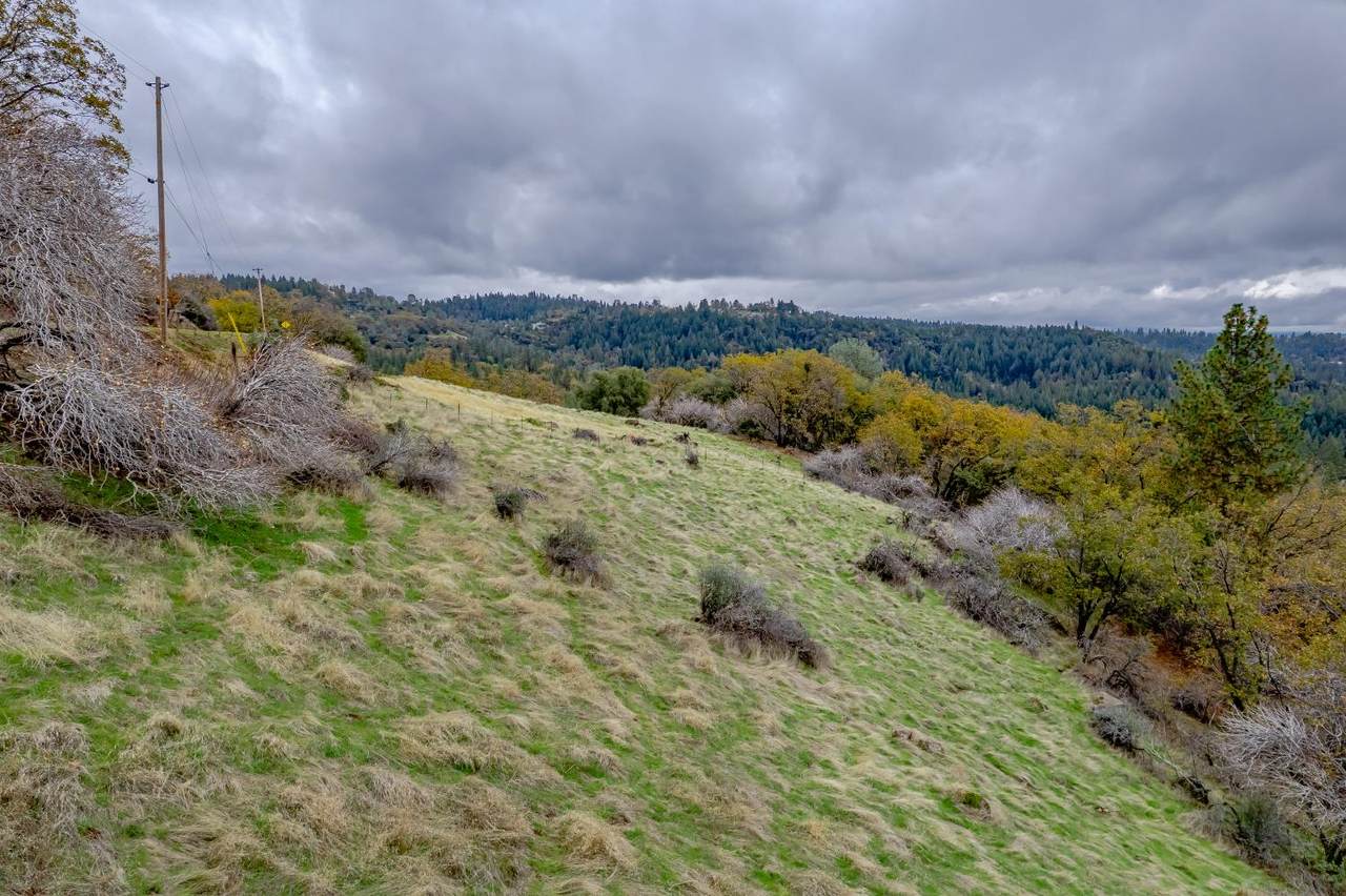 https://bt-photos.global.ssl.fastly.net/sacramento/1280_boomver_1_560954854-2.jpg