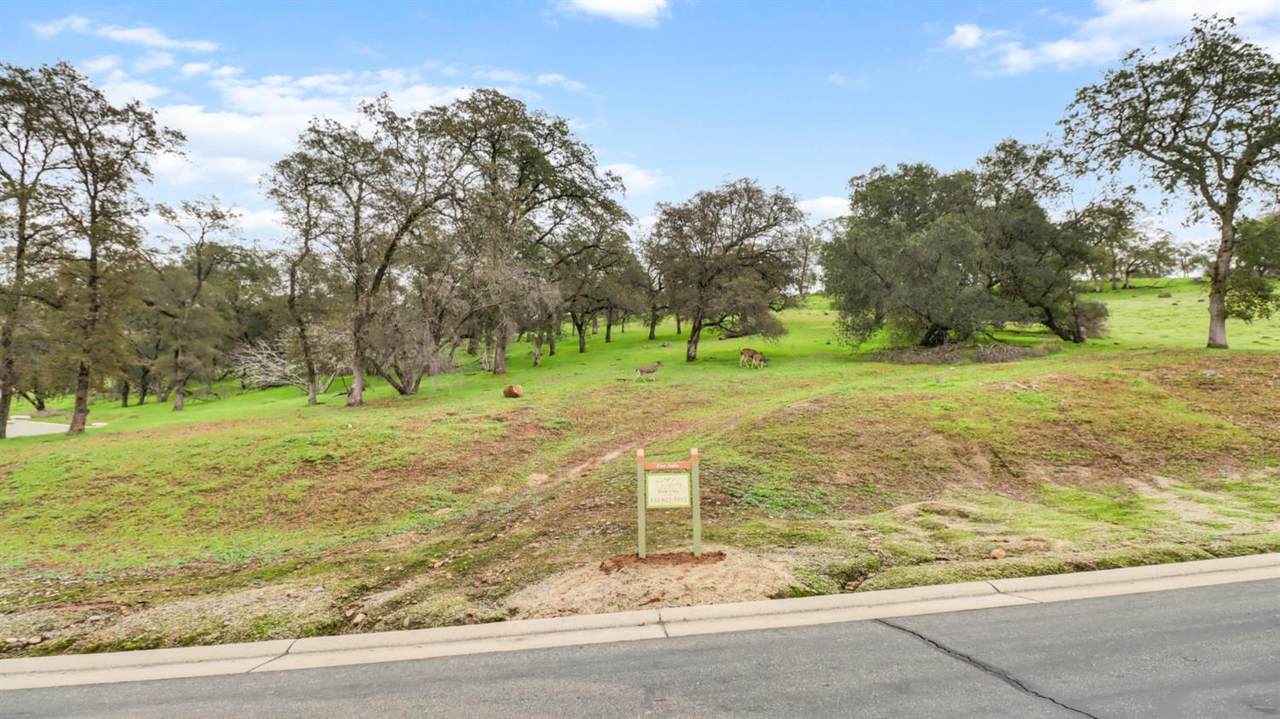 1701 Camino Verdera - Photo 1