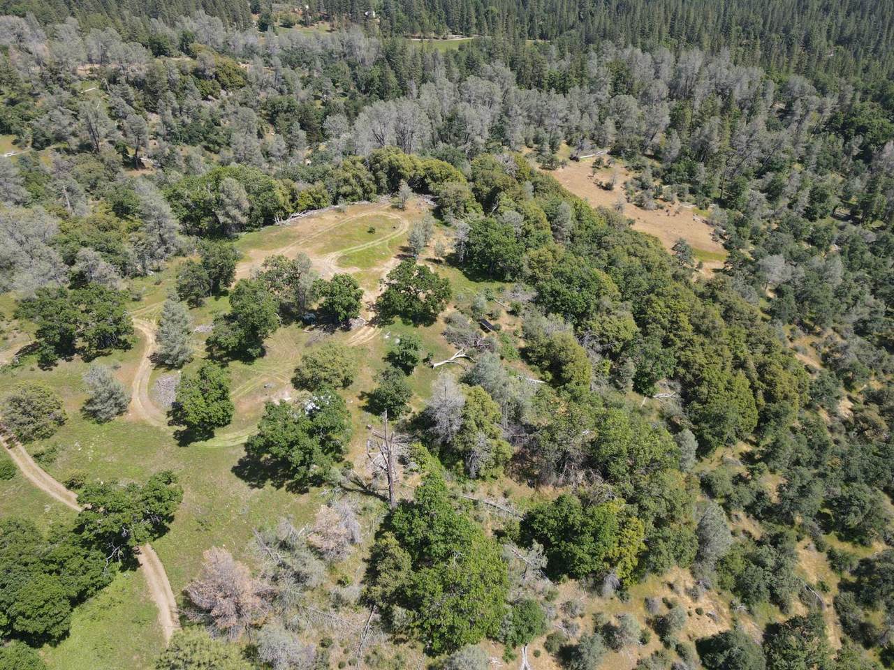 https://bt-photos.global.ssl.fastly.net/sacramento/1280_boomver_1_560955995-2.jpg