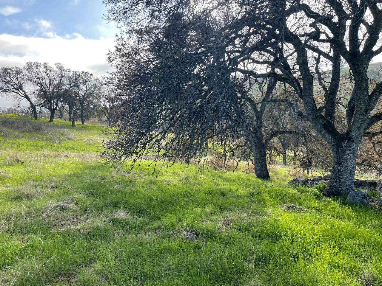 https://bt-photos.global.ssl.fastly.net/sacramento/1280_boomver_1_560956063-2.jpg