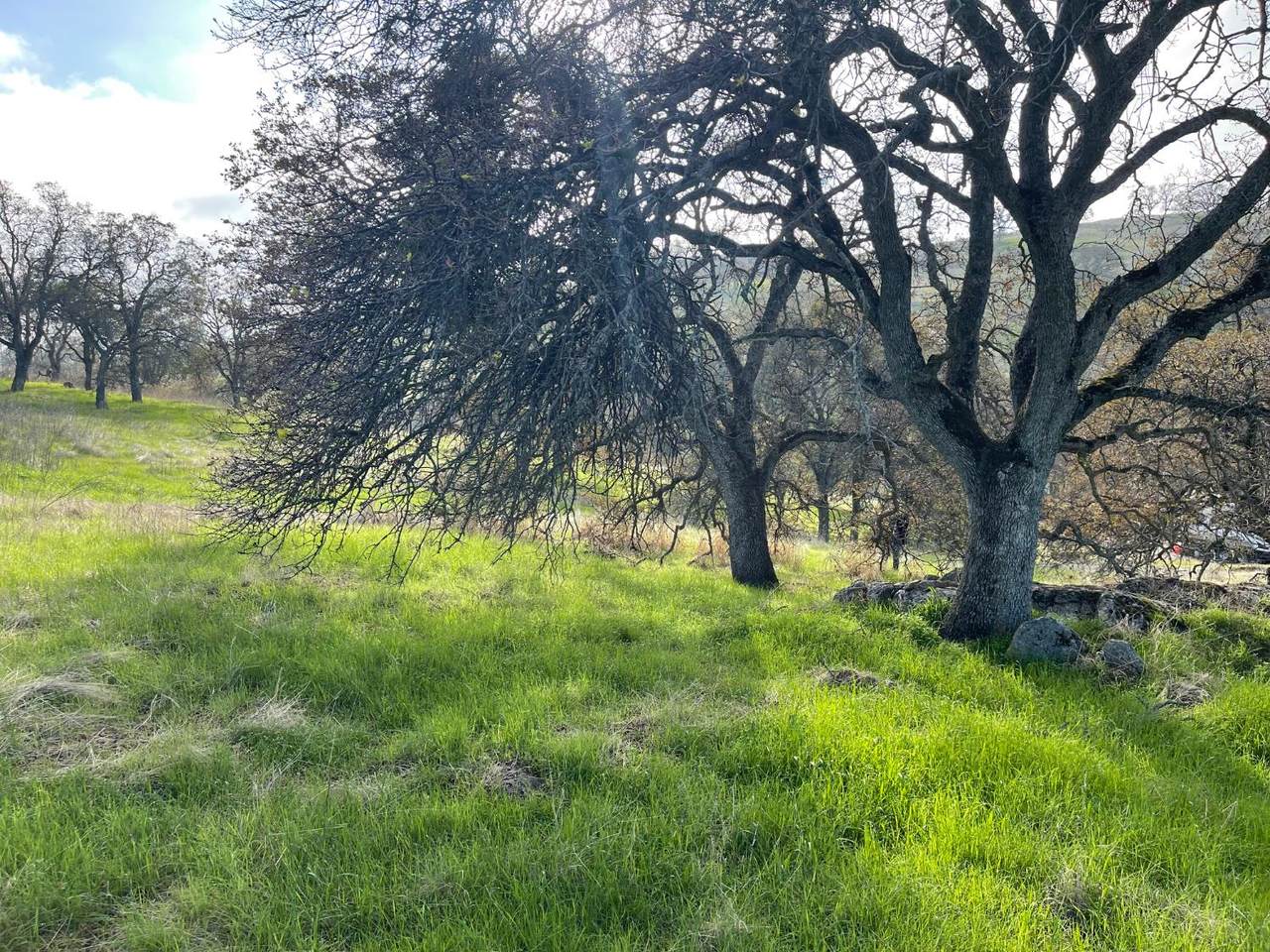 https://bt-photos.global.ssl.fastly.net/sacramento/1280_boomver_1_560956063-2.jpg