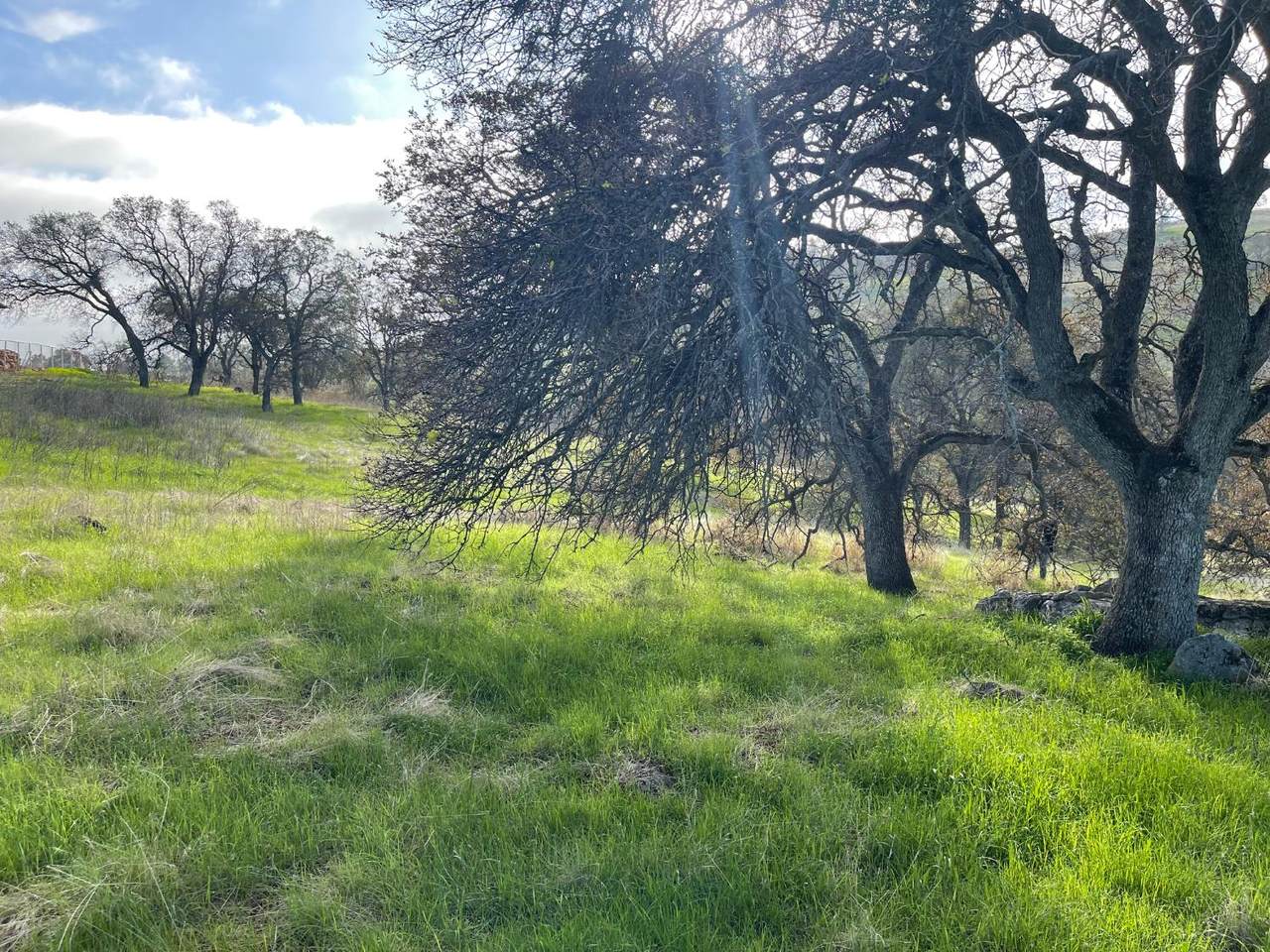 https://bt-photos.global.ssl.fastly.net/sacramento/1280_boomver_1_560956063-2.jpg