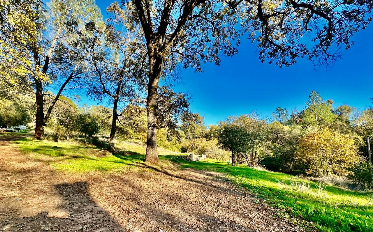 https://bt-photos.global.ssl.fastly.net/sacramento/1280_boomver_1_560957500-2.jpg