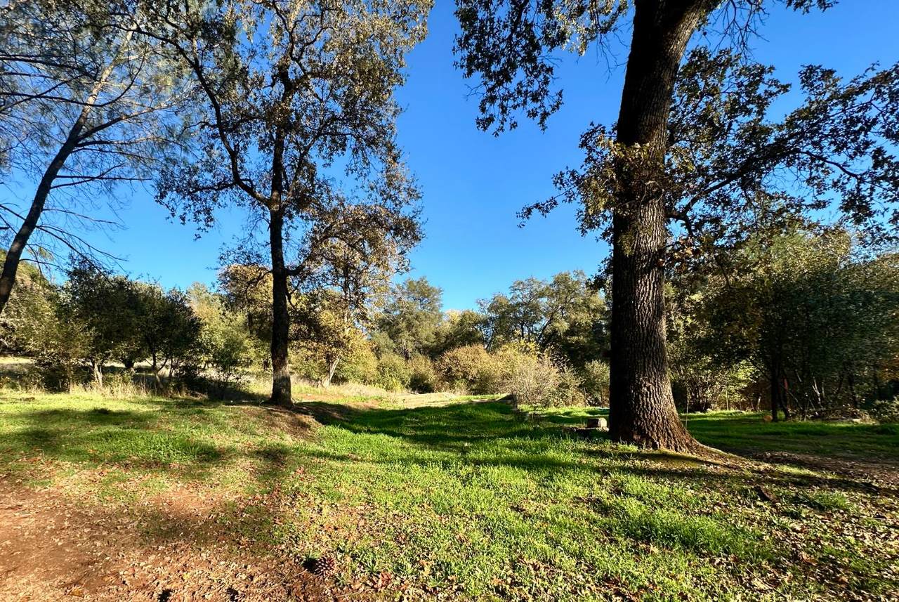 https://bt-photos.global.ssl.fastly.net/sacramento/1280_boomver_1_560957500-2.jpg