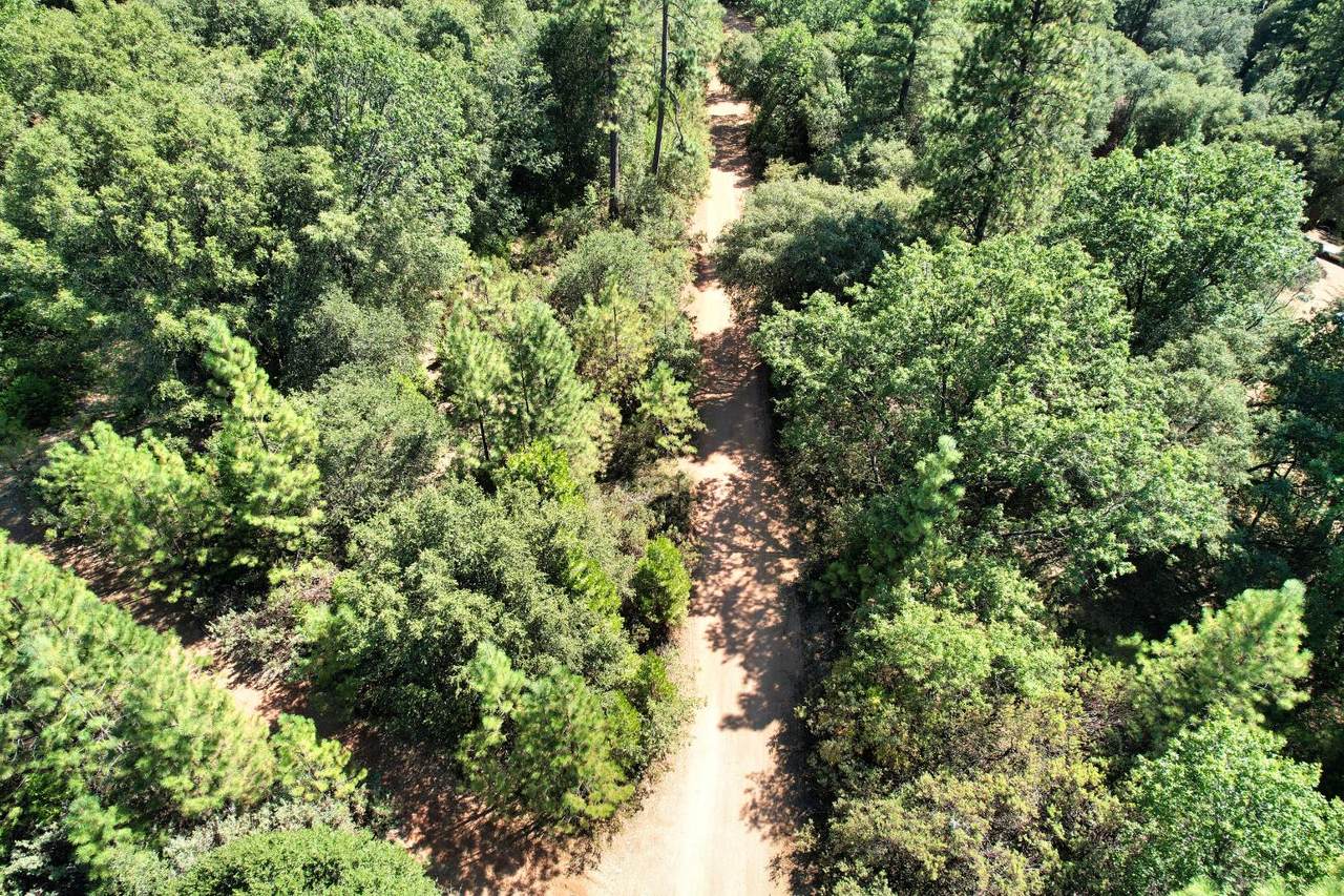 https://bt-photos.global.ssl.fastly.net/sacramento/1280_boomver_1_560957695-2.jpg