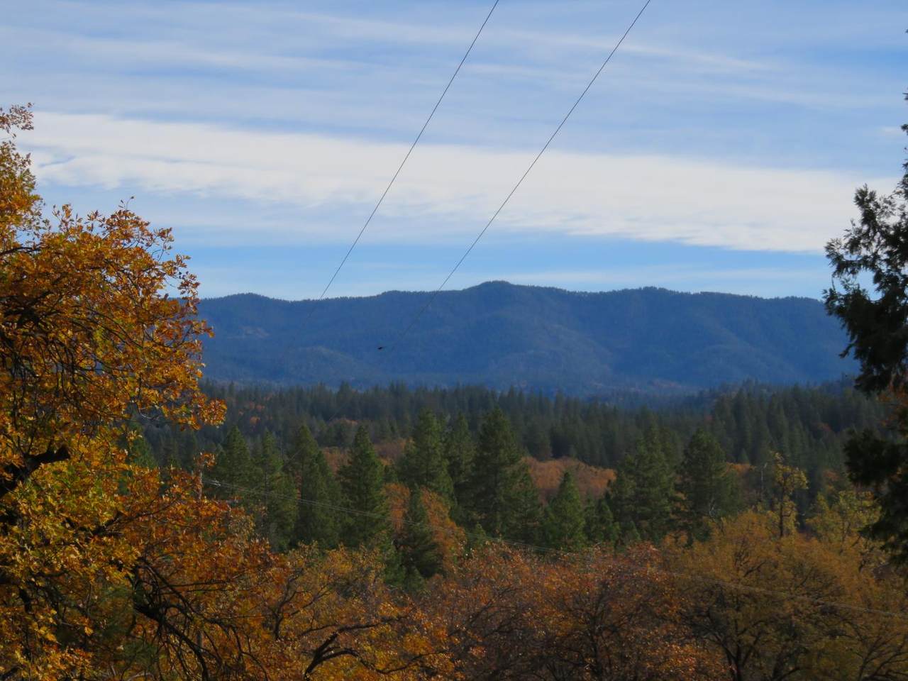 https://bt-photos.global.ssl.fastly.net/sacramento/1280_boomver_1_560957938-2.jpg