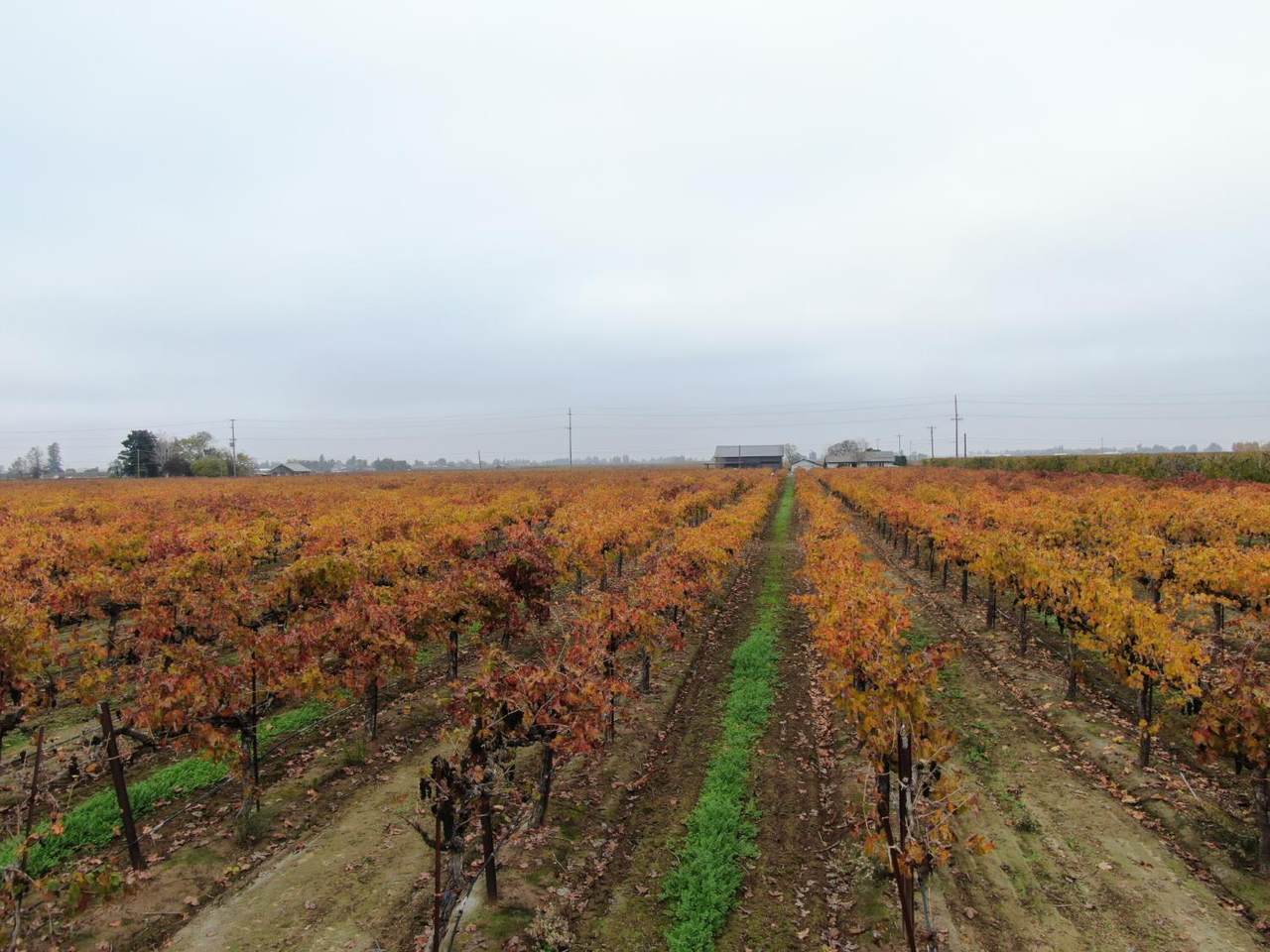 https://bt-photos.global.ssl.fastly.net/sacramento/1280_boomver_1_560958715-2.jpg