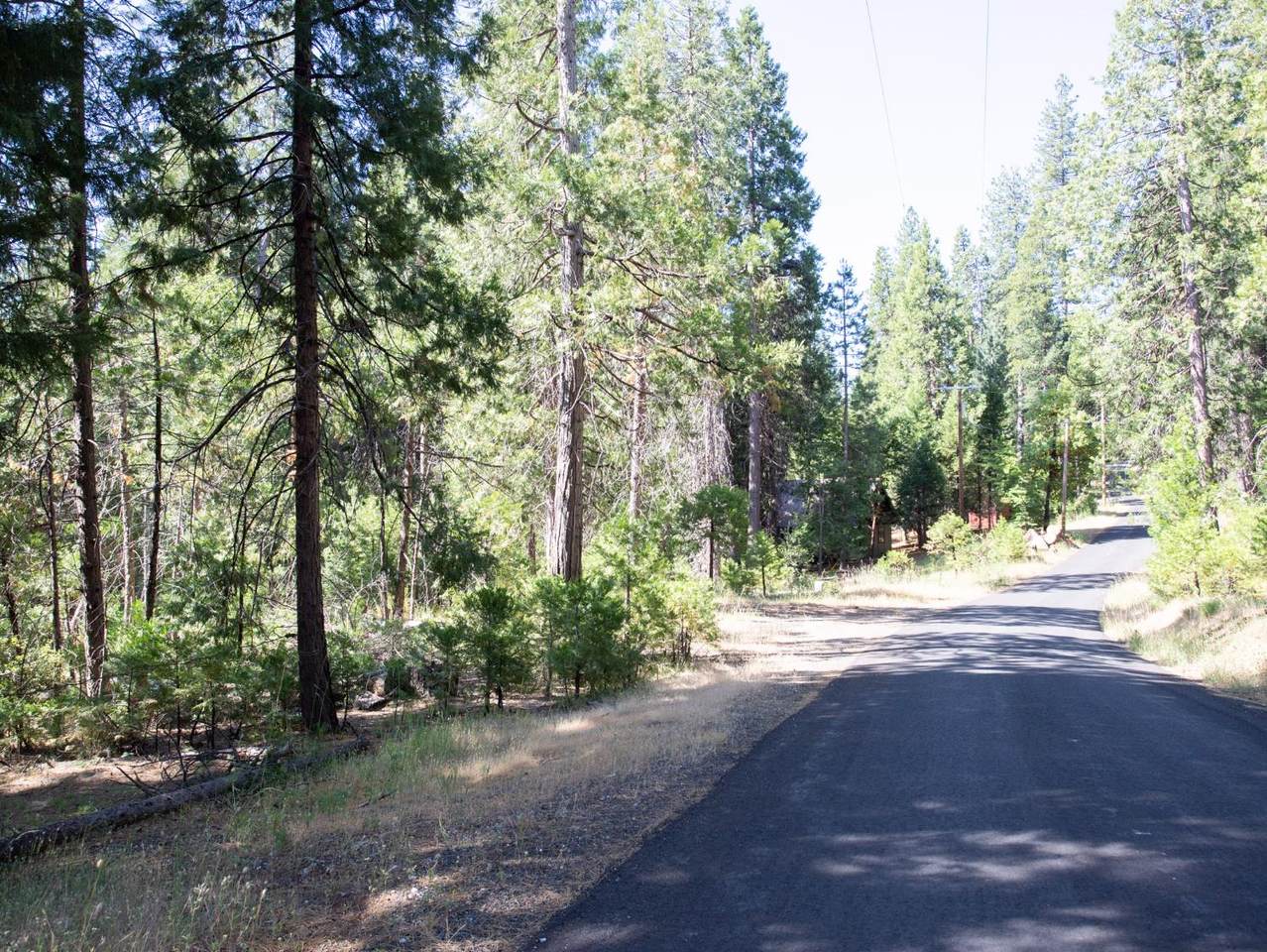 https://bt-photos.global.ssl.fastly.net/sacramento/1280_boomver_1_560959056-2.jpg