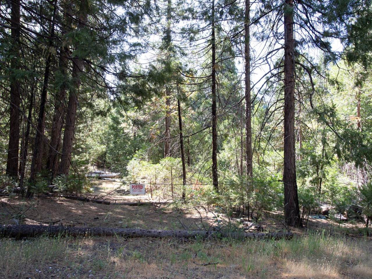 https://bt-photos.global.ssl.fastly.net/sacramento/1280_boomver_1_560959056-2.jpg