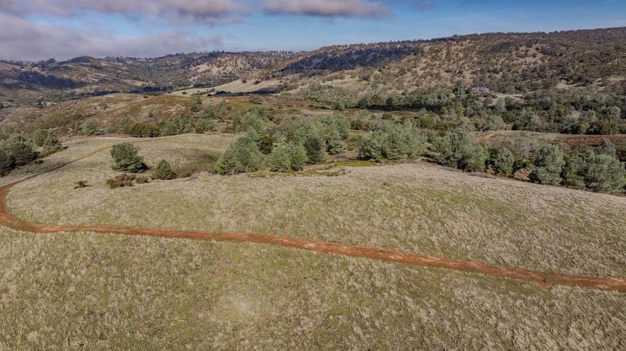https://bt-photos.global.ssl.fastly.net/sacramento/1280_boomver_1_560959715-2.jpg